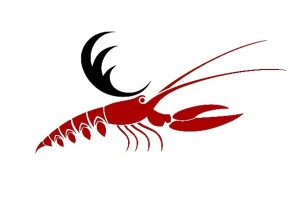 crawfish logo